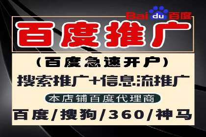SEM网络推广案例：精准营销助力品牌成长